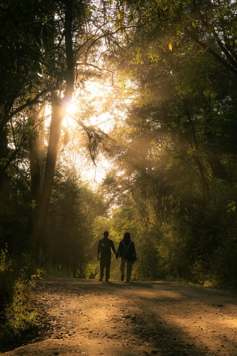 Couple walking together in nature after a couples therapy breakthrough